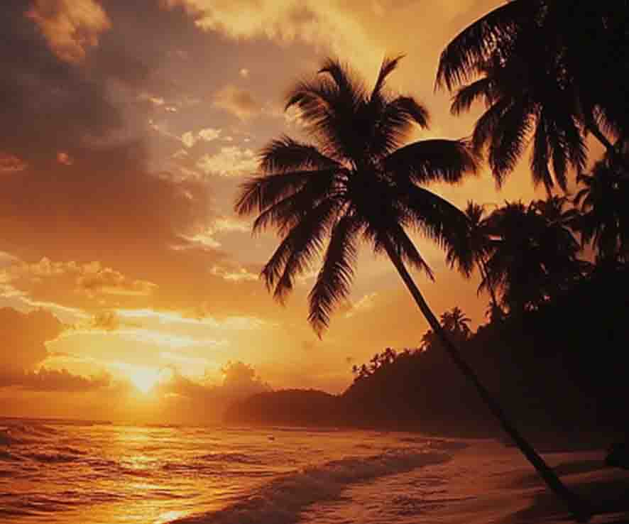 Podkładka pod mysz Zachód Tropiki S Podkładka pod mysz Zachód Tropiki S